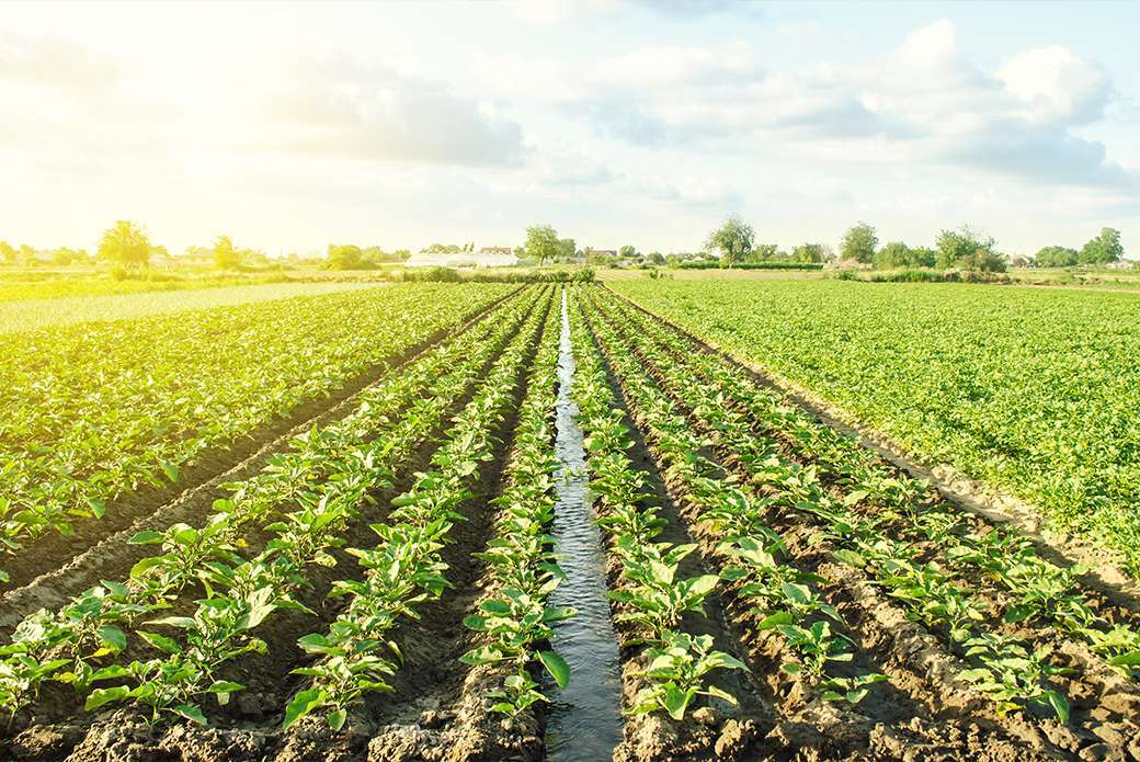 8 important CX metrics and KPIs (and how to measure them)